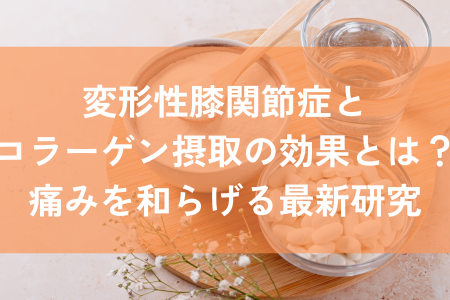 変形性膝関節症　コラーゲン　効果